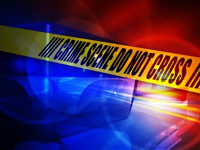 Man charged after allegedly tasing Sedalia Police Department officer