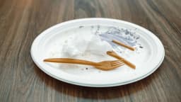New “living plastic” self-destructs in just 6 days without ...