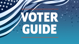 Issue 3 | Voter Guide: 2026 Ohio General Election