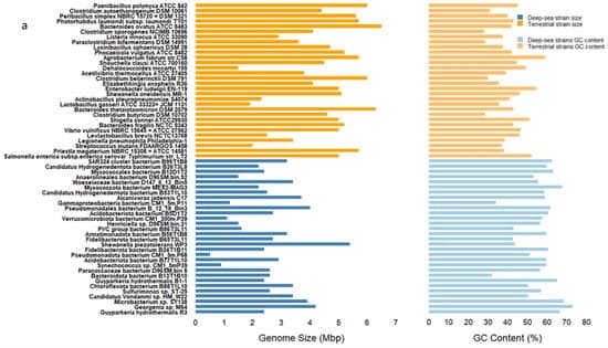 Research Progress on the Detection of Deep-Sea Microorganisms and the Significance of Measurement Standards