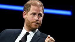 Prince Harry May Have Finally Found the Non-Royal Role ...