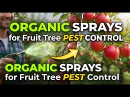 Organic Sprays for Fruit Tree Pest Control