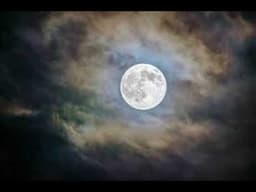 Full Moon May 31 2026- A Powerful Time of Opening to Truth,  Purification, Transmutation and Rebirth