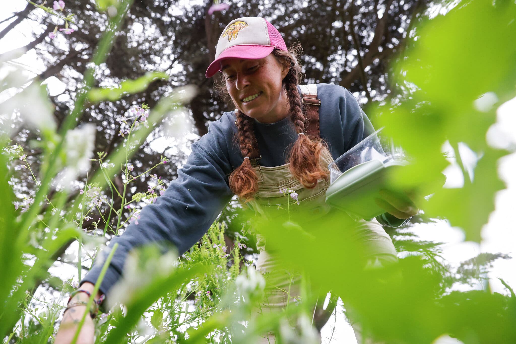 This forager hunts tiny edible plants for the Bay Area’s most luxe restaurants