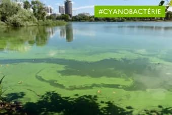 Fin de la période de surveillance des sites de baignades