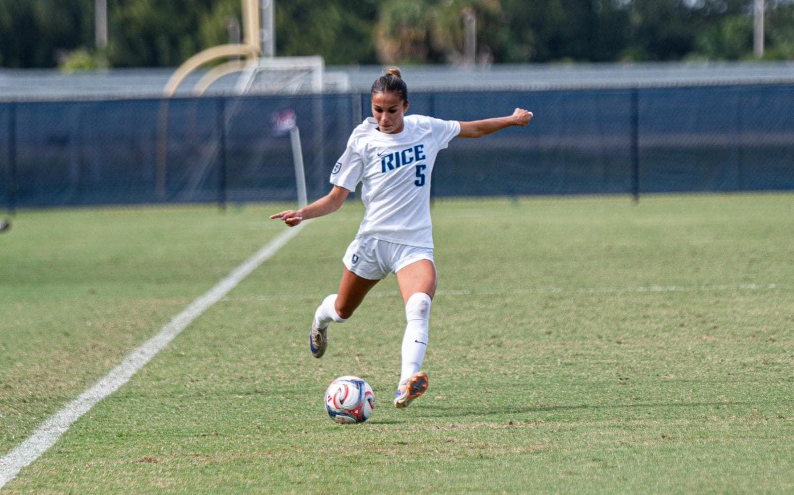 Owls Welcome Charlotte for Regular Season Finale
