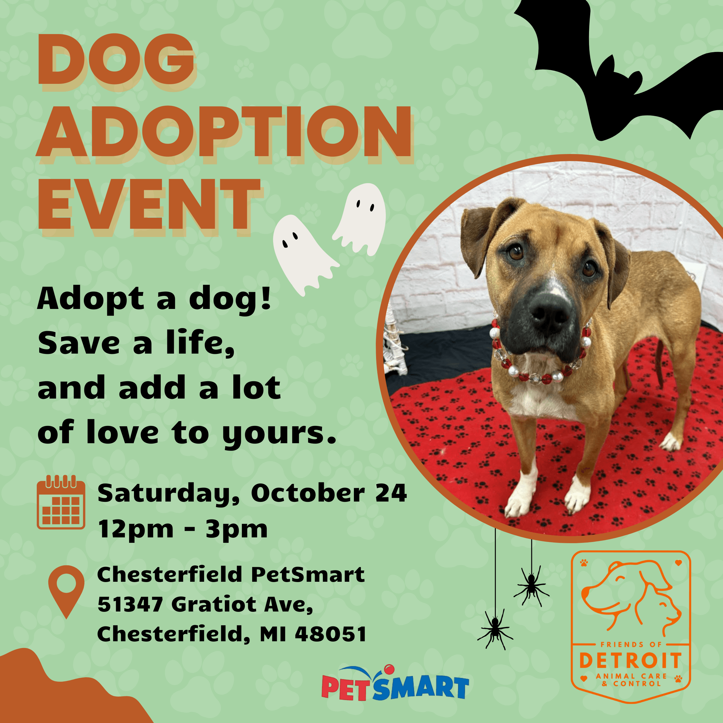 Dog Adoption Event at Chesterfield PetSmart