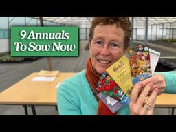 9 Hardy Annuals to Sow Now in Early Spring