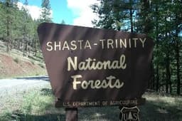 Two Forest Service Employees Kidnapped And Taken Hostage In The Shasta Trinity National Forest Of California. Forest Service Chief Gives Statement After Hostages Released.