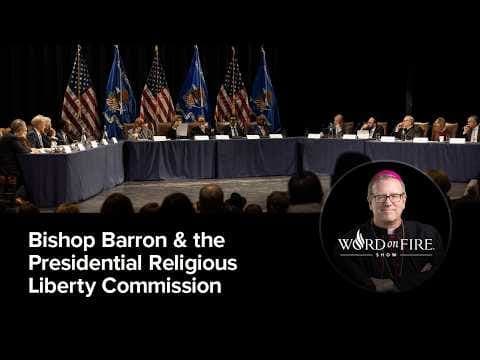 Bishop Barron on Liberty in USA