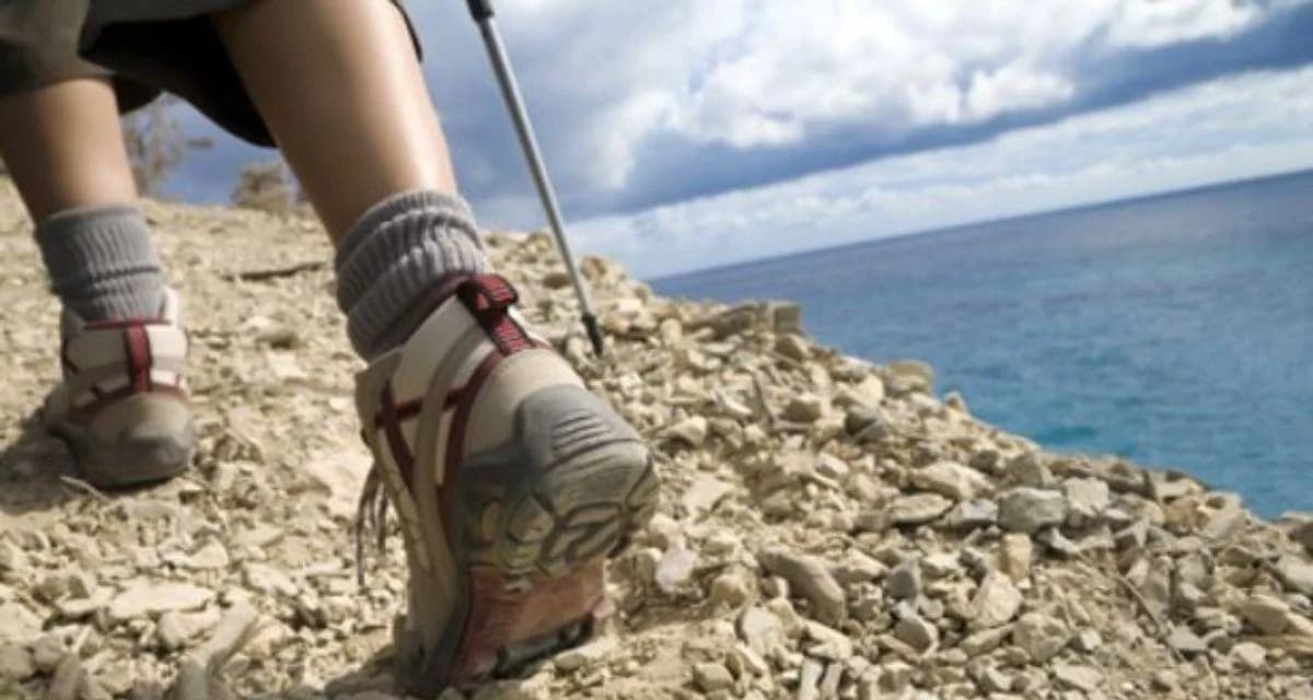 Elevating the Outdoor Economy in Southern Vermont: Networking & Trail Walk