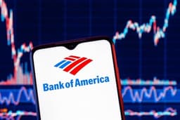 Bank of America price target raised to $58 from $57 at Goldman Sachs - TipRanks.com