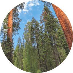 2026 Cooperative Endangered Species Conservation Fund