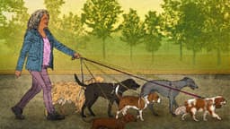 Seniors reenter workforce through gig economy amid financial challenges