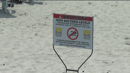 Water quality advisory issued for Residents Beach on Marco Island