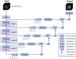 FocusMamba: A Local–Global Mamba Framework Inspired by Visual Observation for Brain Tumor Segmentation