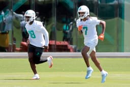 Dolphins' Chris Bell camp rehab update from knee injury