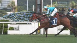 ROMANTIC WARRIOR IS THE TRIPLE CROWN WINNER | 2026 Standard Chartered Champions & Chater Cup (G1)