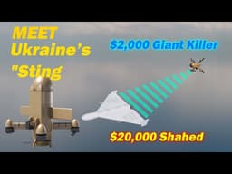 Ukraine’s Sting Drone Explained | low-cost weapons #STING