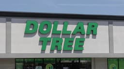 This Dollar Tree DIY Turns Budget Baskets Into an Eye- ...