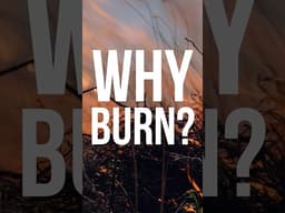 Why burn? 🔥 | Konza Biological Research Station