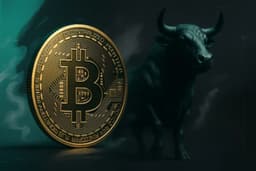 BTC Could Still Rally to $74K as Whales Keep Buying