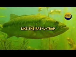 Best Time to Catch BIG Largemouth Bass in Spring (Pro Tips)