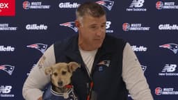 NFL fans slam Mike Vrabel for using puppy to 'deflect' from ...