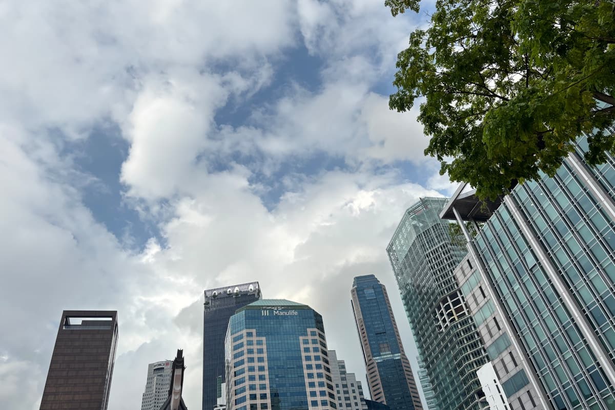 ESG is fragmenting – how should businesses respond? | Opinion