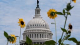 The Social Security Admin is paying out benefits on Friday, July 31: who gets a payment? - AS USA