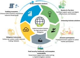 Hybrid incentives for mitigating agricultural emissions in South Africa