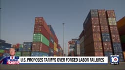 Trump proposes new tariffs on 60 major trading partners