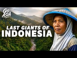 Saving Sumatra’s Last Giants: Inside the Fight for Saving the Big 4  - INDONESIA - Documentary - AMP