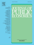 Fiscal consequences of corporate tax avoidance