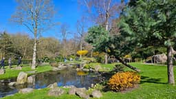 The Kyoto Garden in London. A tranquil place to visit in Holland… | by Ella Read | Weeds & Wildflowers | Apr, 2026 | Medium