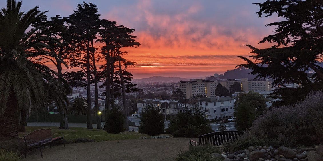 San Francisco Bay Area Events, Things To Do This Week: July 13-19, 2026