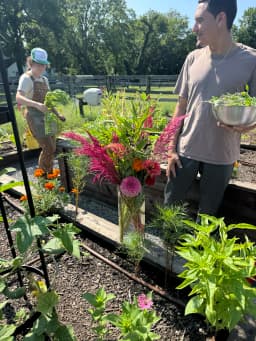Q&A: What can I do for my garden in this sweltering ...
