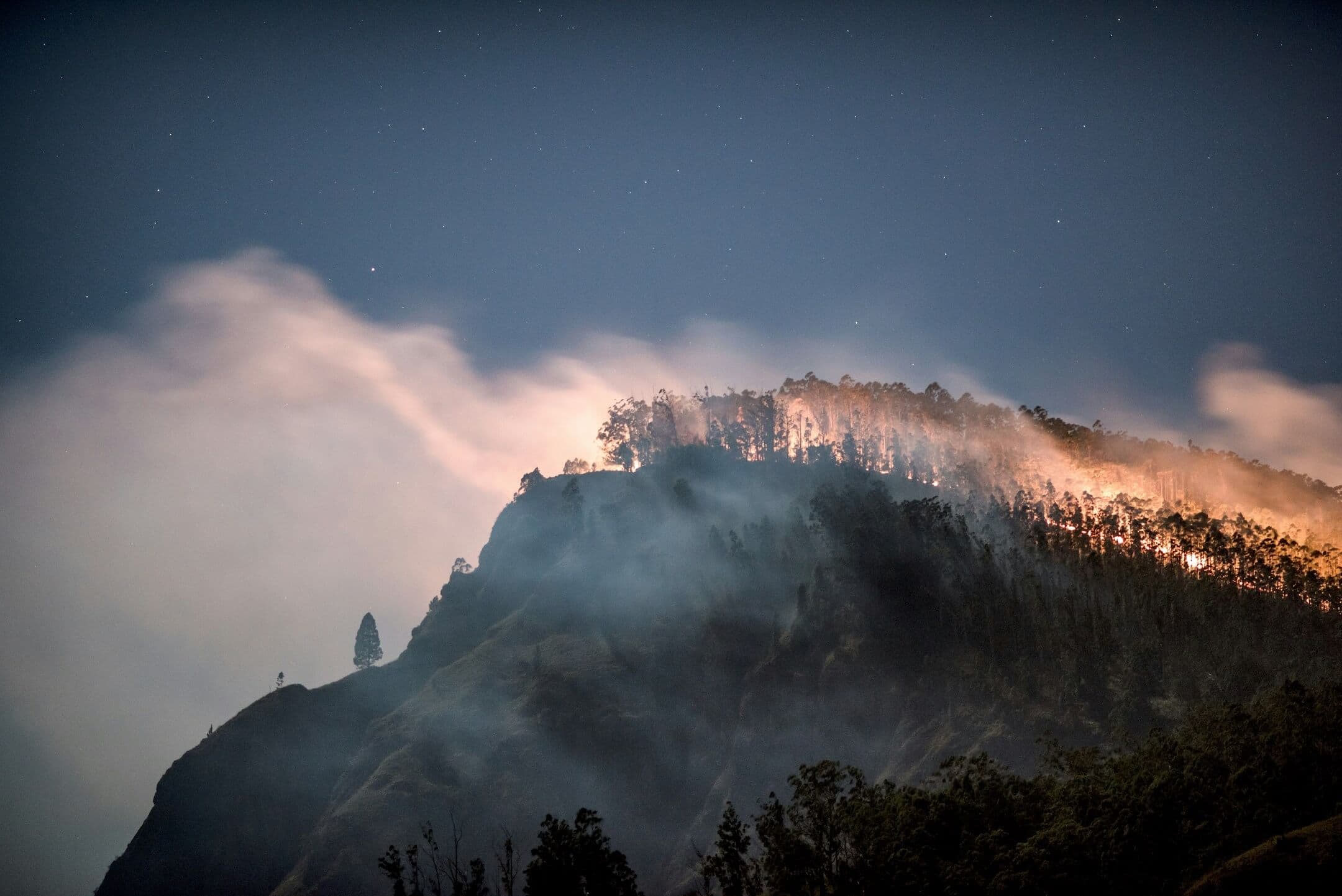 Why Are There So Many Wildfires Right Now in 2026?