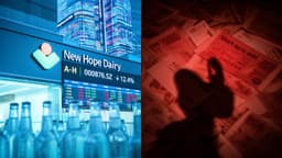 New Hope Dairy Seeks Hong Kong IPO, Banking on Chilled Milk Growth Amid Debt Concerns — BigGo Finance