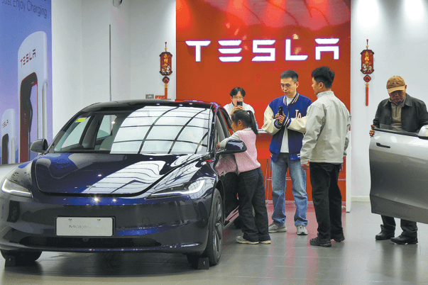 Tesla to hike investments in AI, energy - Chinadaily.com.cn