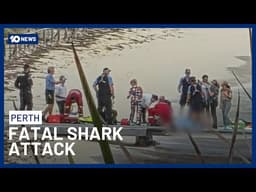 38-Year-Old Man Killed In Shark Attack Off WA’s Rottnest Island | 10 News