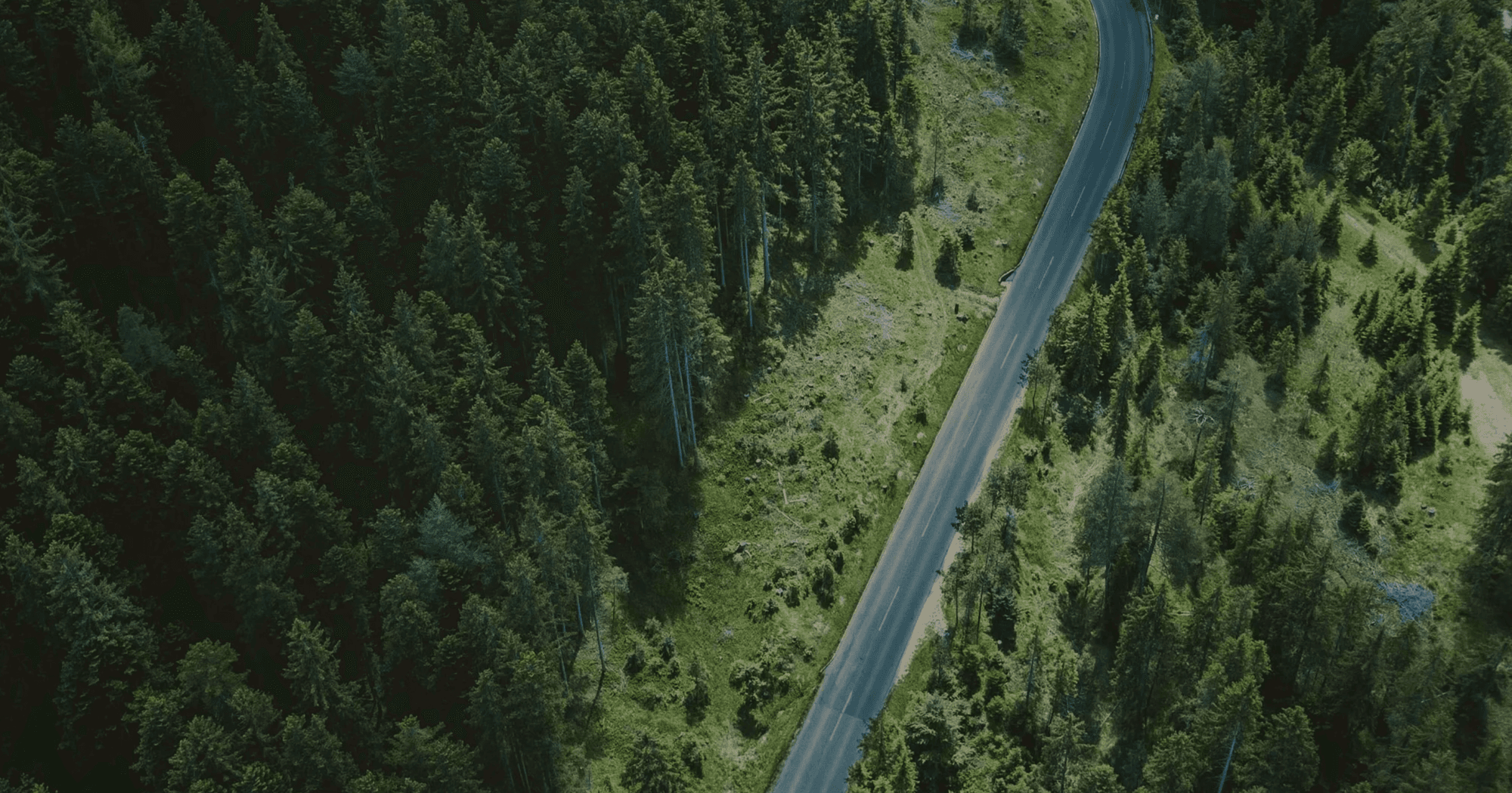 Are Total and BP preparing to survive in a low-carbon world?