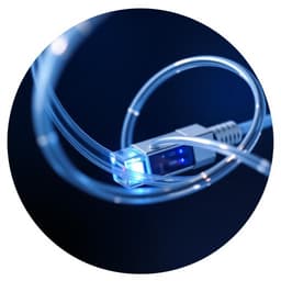 Optical Network Insight