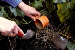 Does your vegetable garden need a boost? Here's how to fertilize for best results