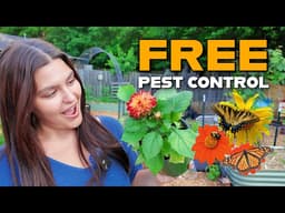 How to Build a Pollinator Garden That Actually Works