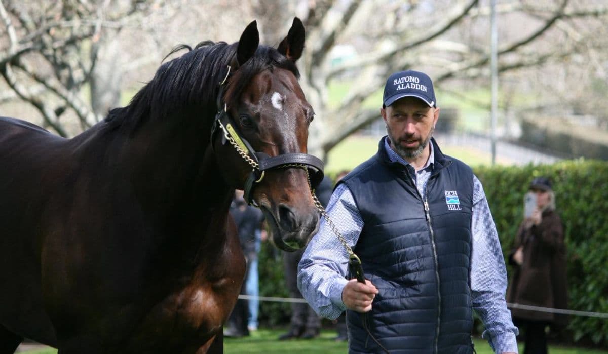 Which stallions impressed in New Zealand?: 'He was a real ...
