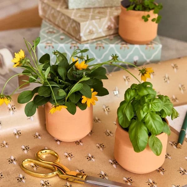 When to Bring Your Plants Inside for Winter