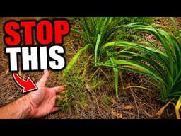 4 Strategies to Keep Weeds Out of Flower Beds