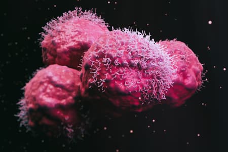 Moving Beyond The mRNA Momentum The Preclinical Path To ...