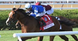 El Cordobes leads strong trio of European shippers in G1 Joe Hirsch ...
